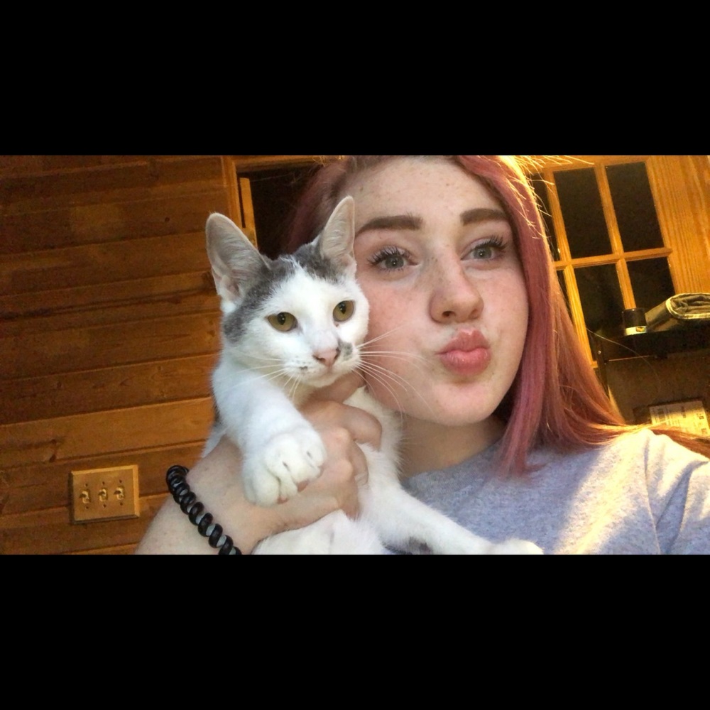 Meet your Posher, Lauren